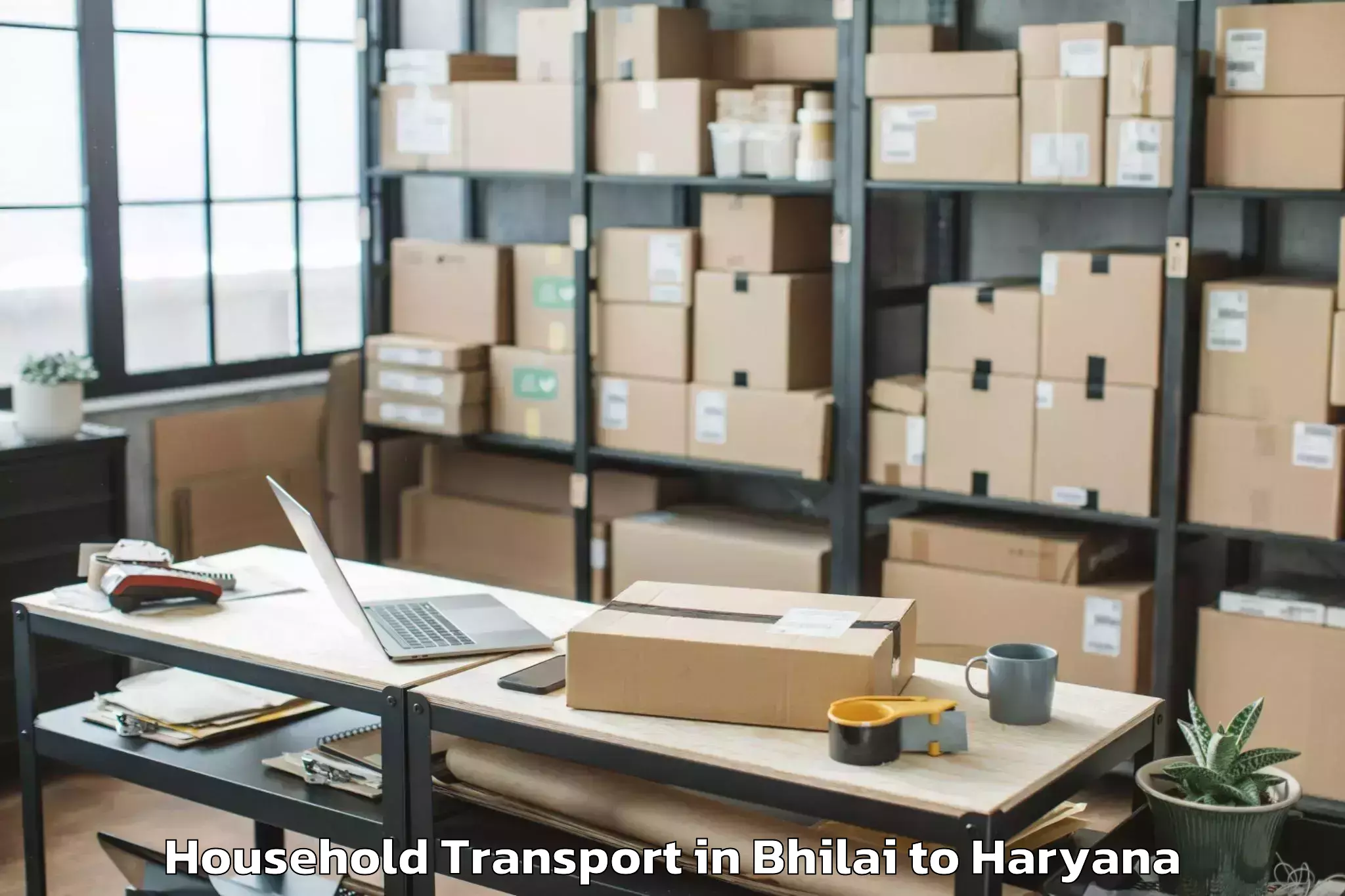 Bhilai to Gold Souk Mall Gurgaon Household Transport